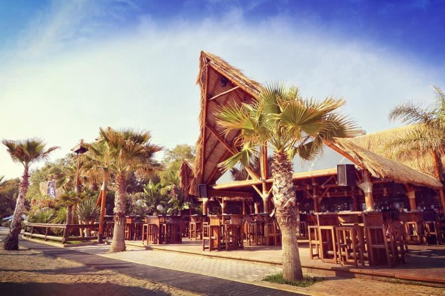 Family Apt With Garden Next To The Sea أثينا المظهر الخارجي الصورة